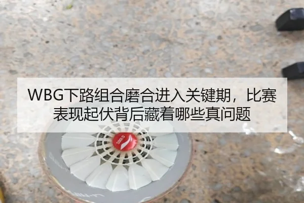 WBG下路组合磨合进入关键期，比赛表现起伏背后藏着哪些真问题
